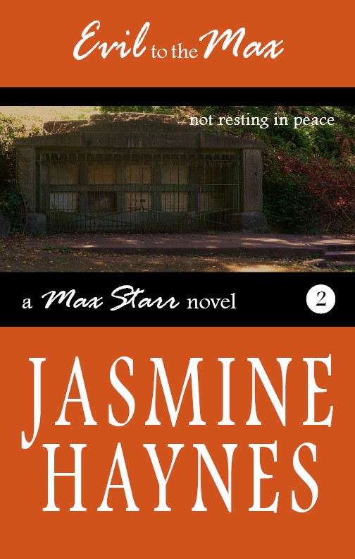 cover of Evil to the Max by Jasmine Haynes