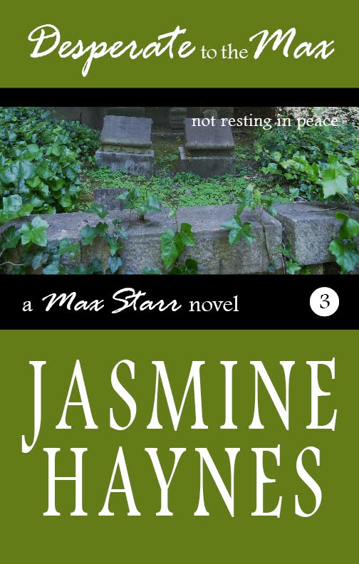 Desperate to the Max by Jasmine Haynes